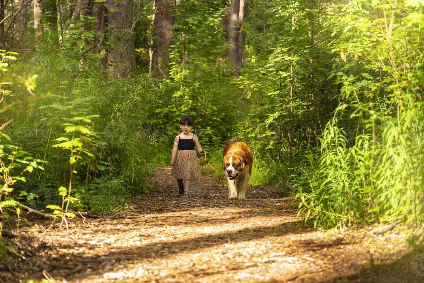 Adorable girl walking with dog photo