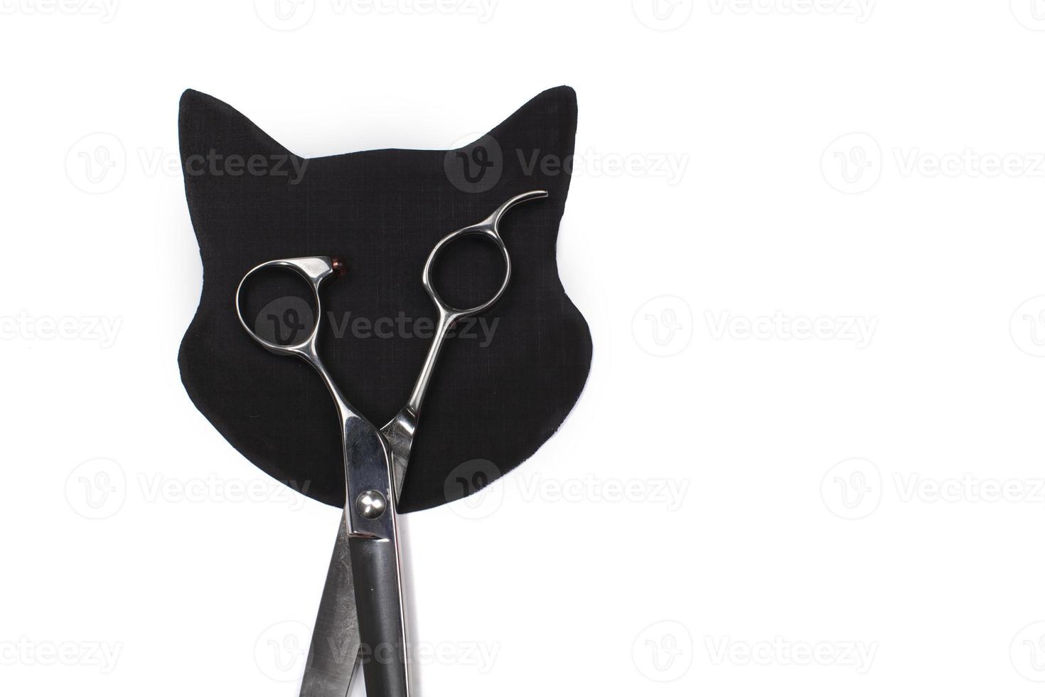 Craft paper black cat. Creative cat head and scissors. Children's art project, craft for children. photo