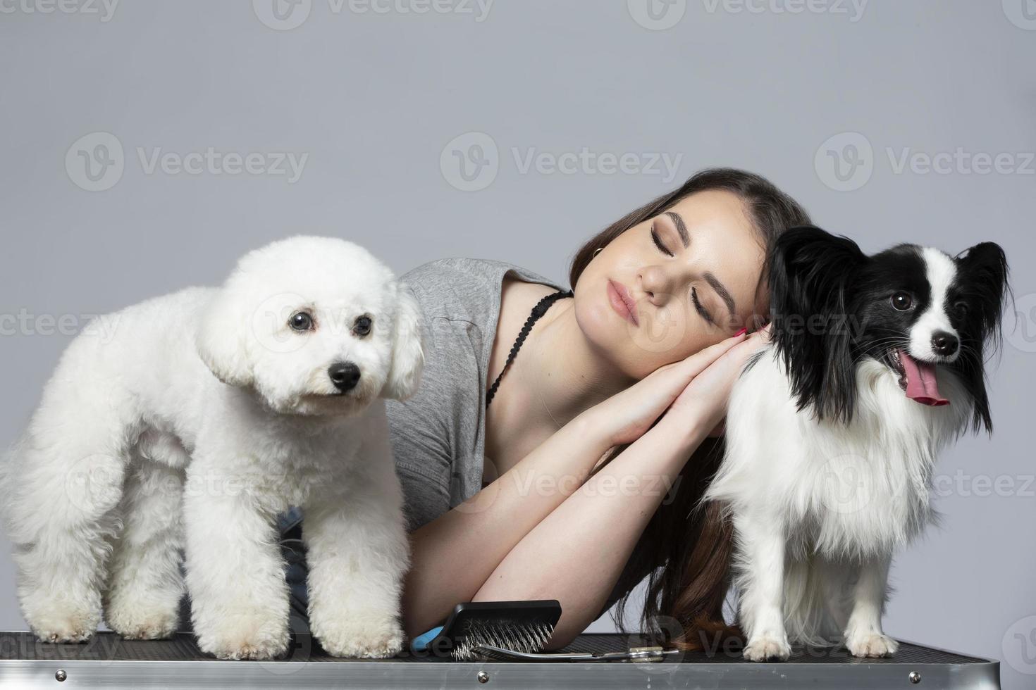 chica peluquera posando durmiendo o cansada con sus mascotas bichon y papillon. foto