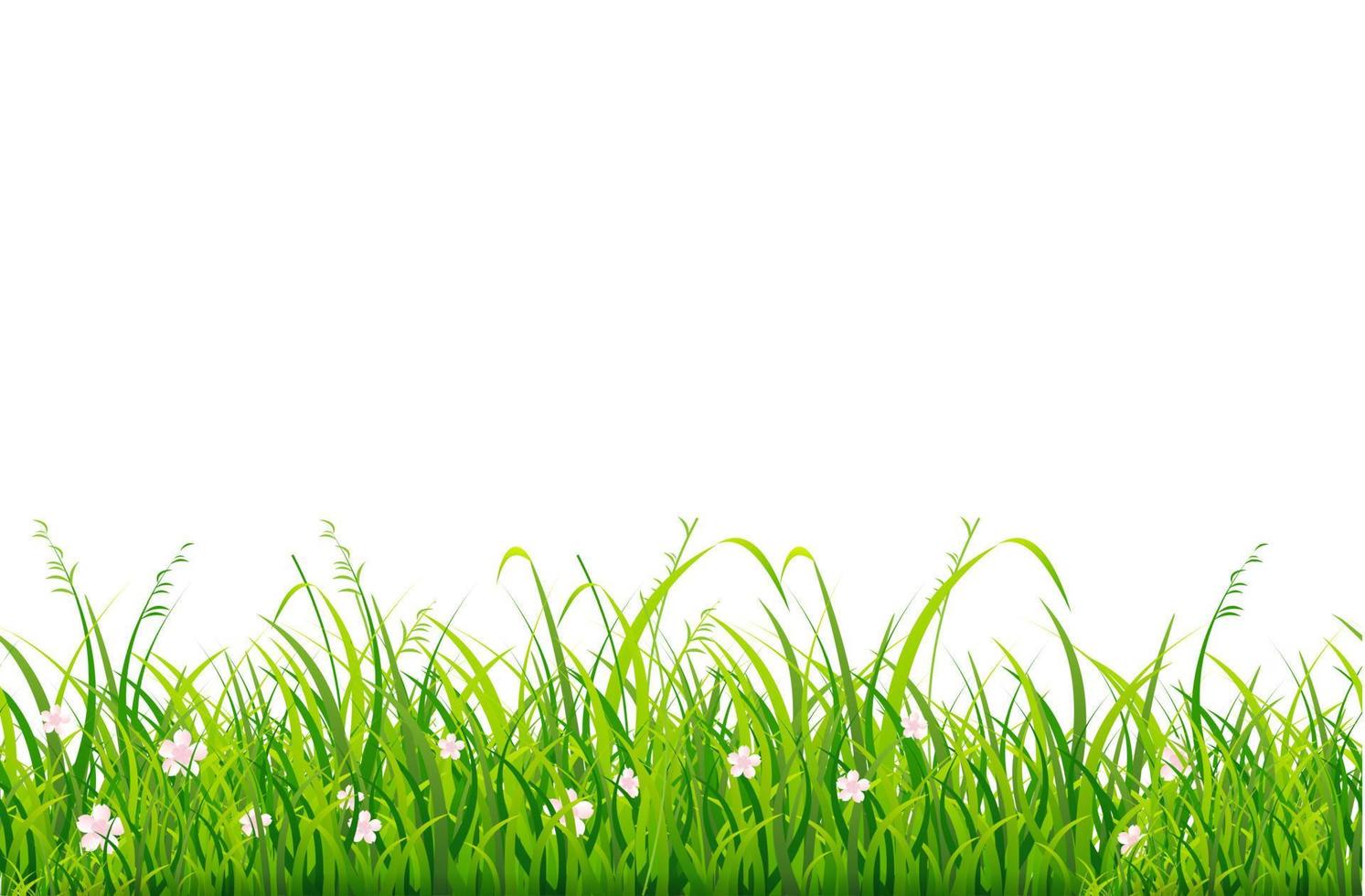 Realistic Detailed 3d Green Grass Line. Vector