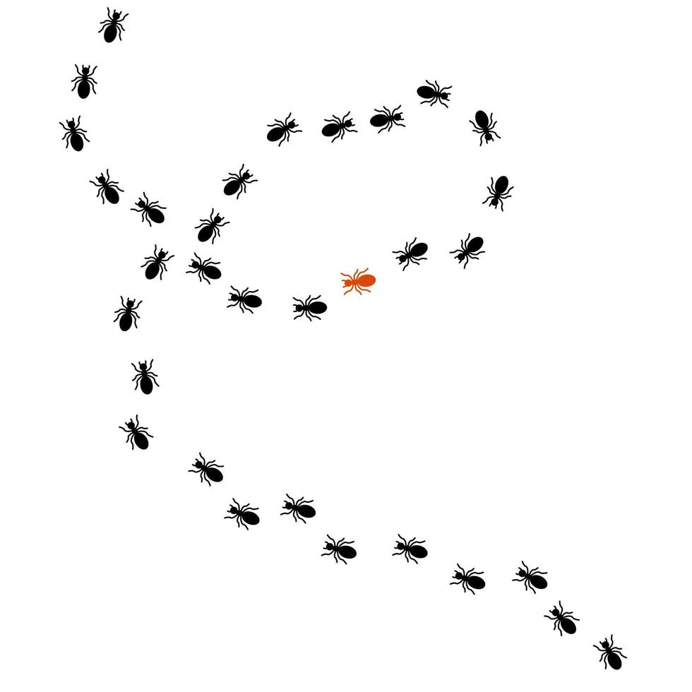 camino de hormigas negras de silueta. vector