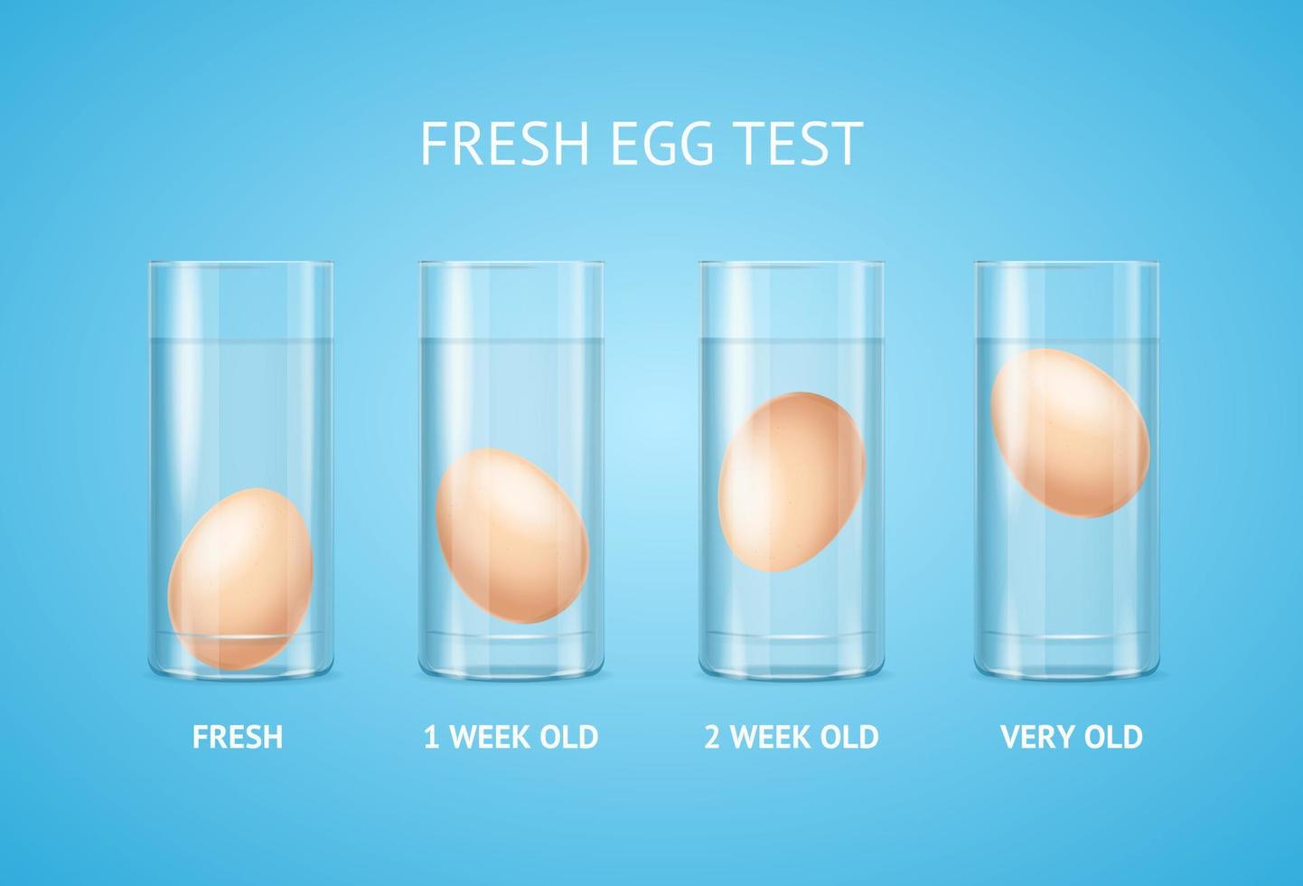 concepto de prueba de huevo fresco 3d detallado y realista. vector