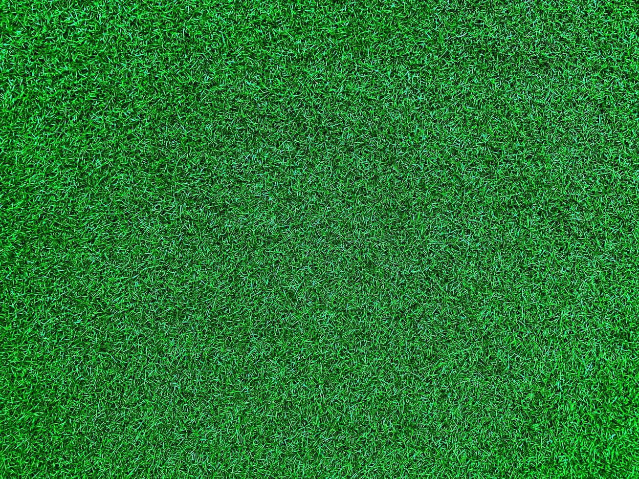 Green grass texture background grass garden concept used for making green background football pitch, Grass Golf, green lawn pattern textured background. photo
