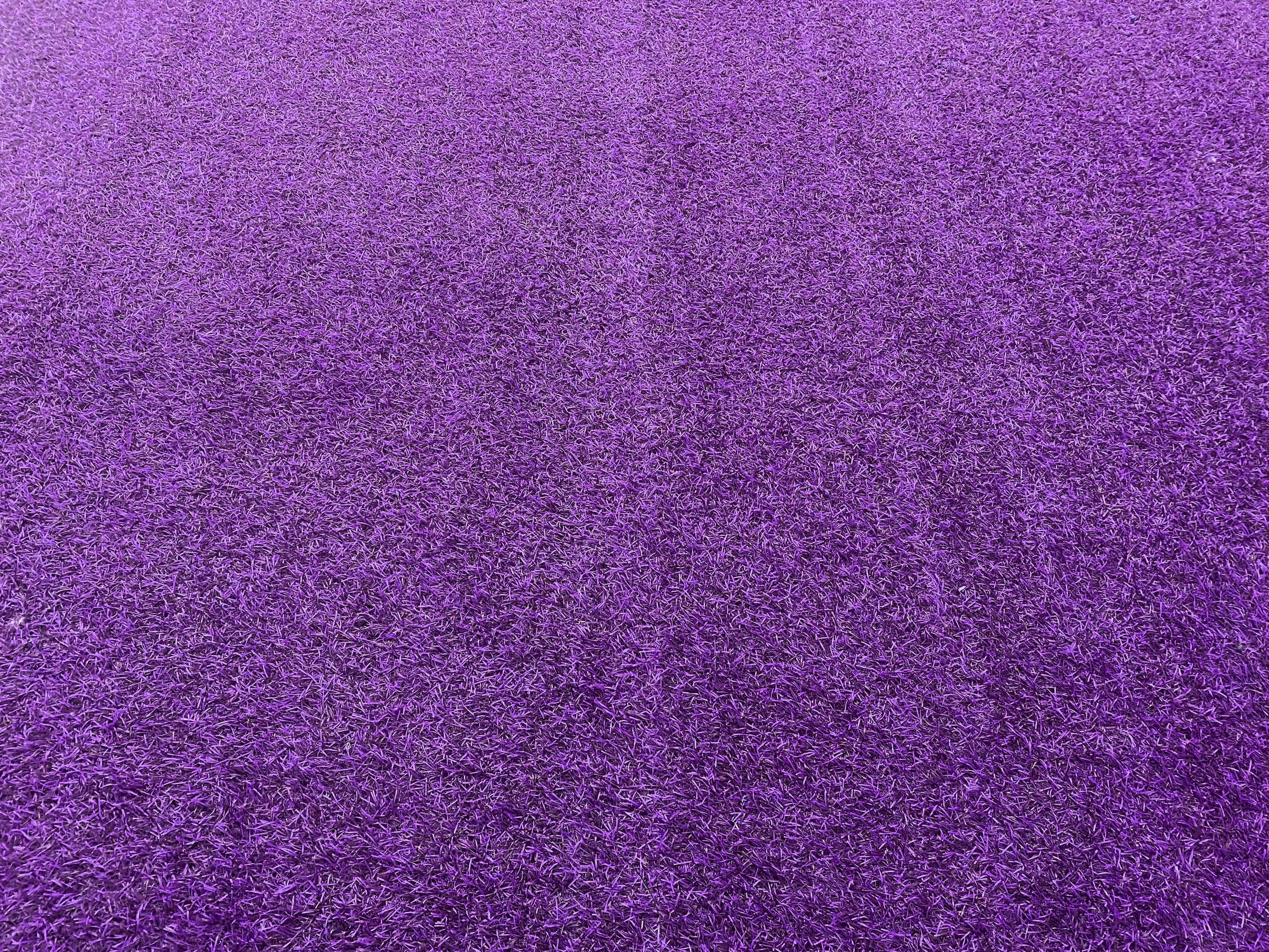 lawn purple grass texture background grass garden concept used for ...