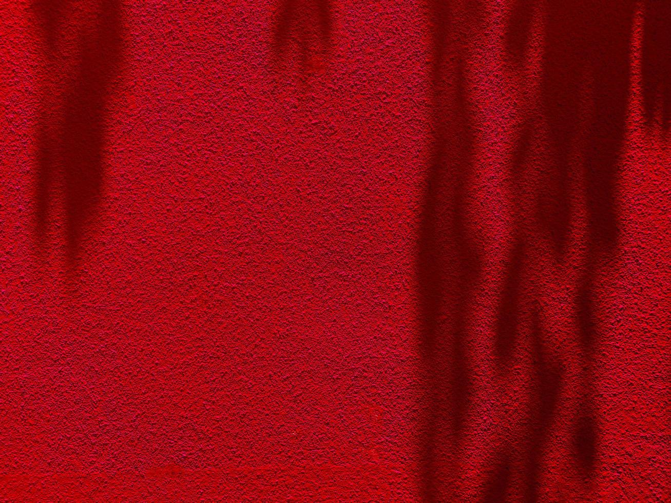 Abstract Shadow. blur background. gray leaves that reflect concrete walls on a red wall surface for blurred backgrounds photo