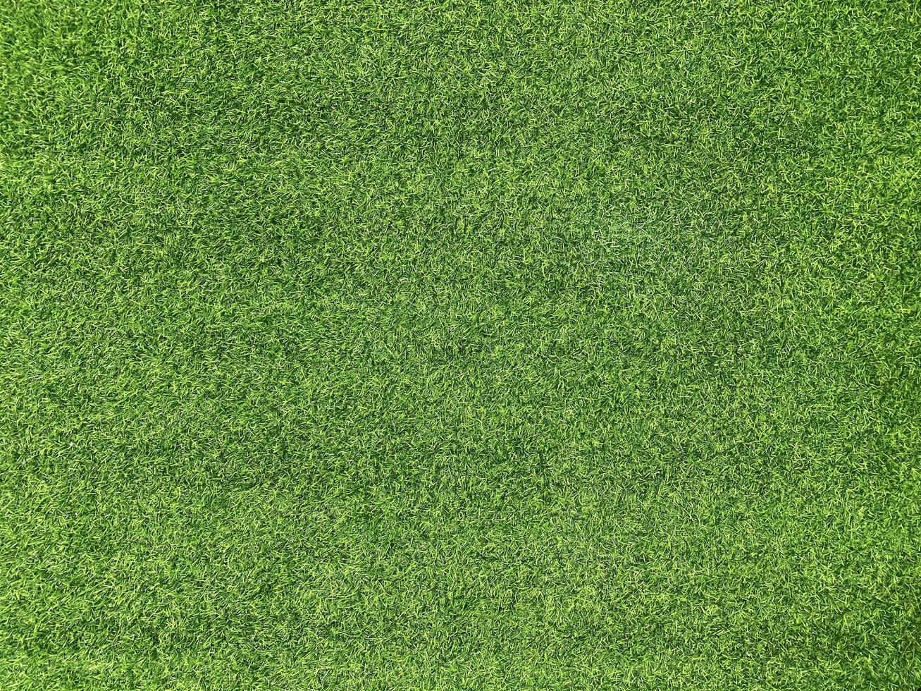 Green grass texture background grass garden  concept used for making green background football pitch, Grass Golf,  green lawn pattern textured background. photo