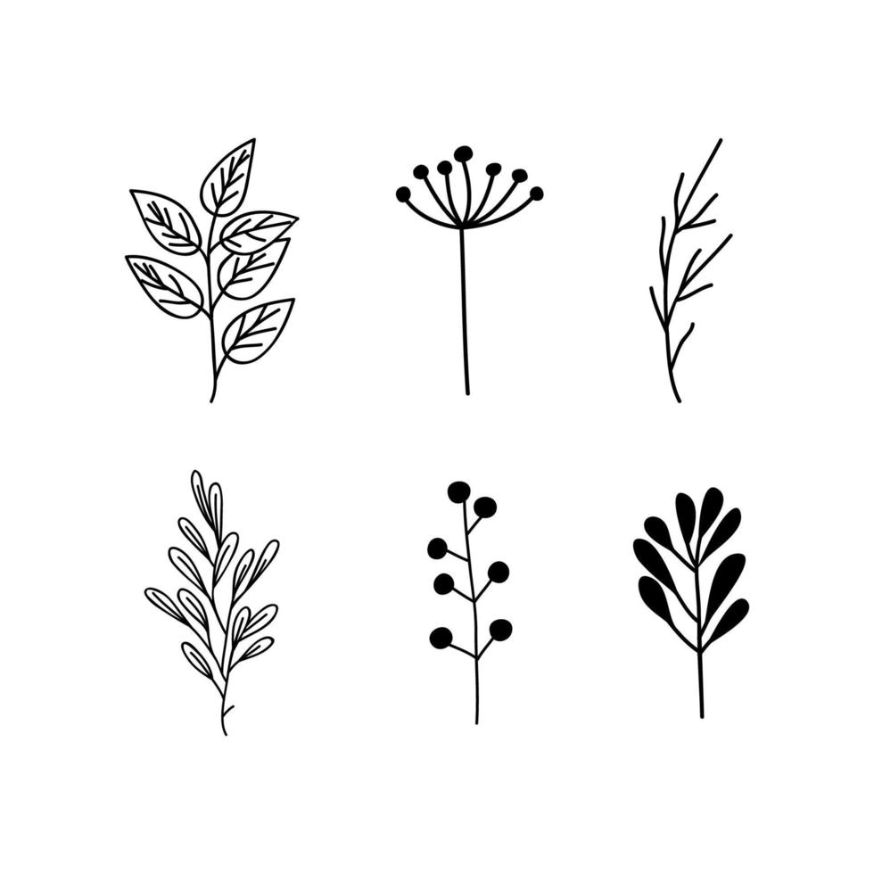 Flower vector design of various shapes