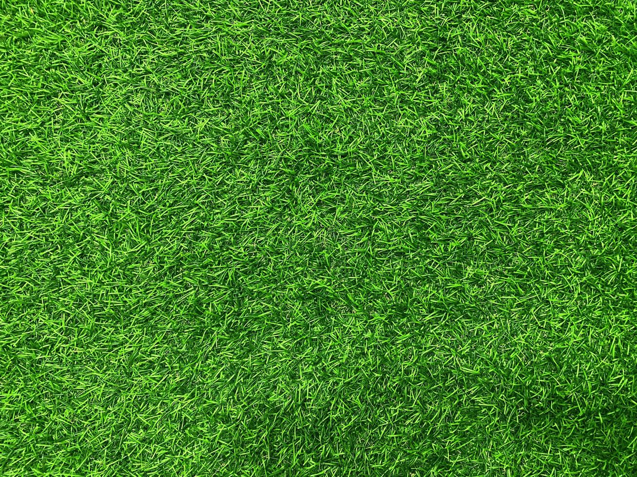 Green grass texture background grass garden  concept used for making green background football pitch, Grass Golf, artificial grass, green lawn pattern textured background. photo