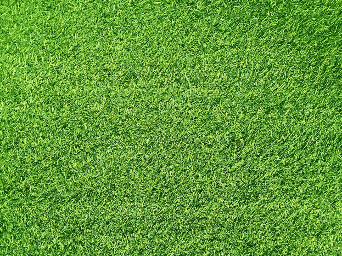 Green grass texture background grass garden  concept used for making green background football pitch, Grass Golf, artificial grass, green lawn pattern textured background. photo