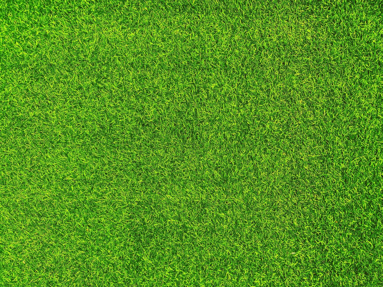 Green grass texture background grass garden concept used for making green background football pitch, Grass Golf, green lawn pattern textured background. photo