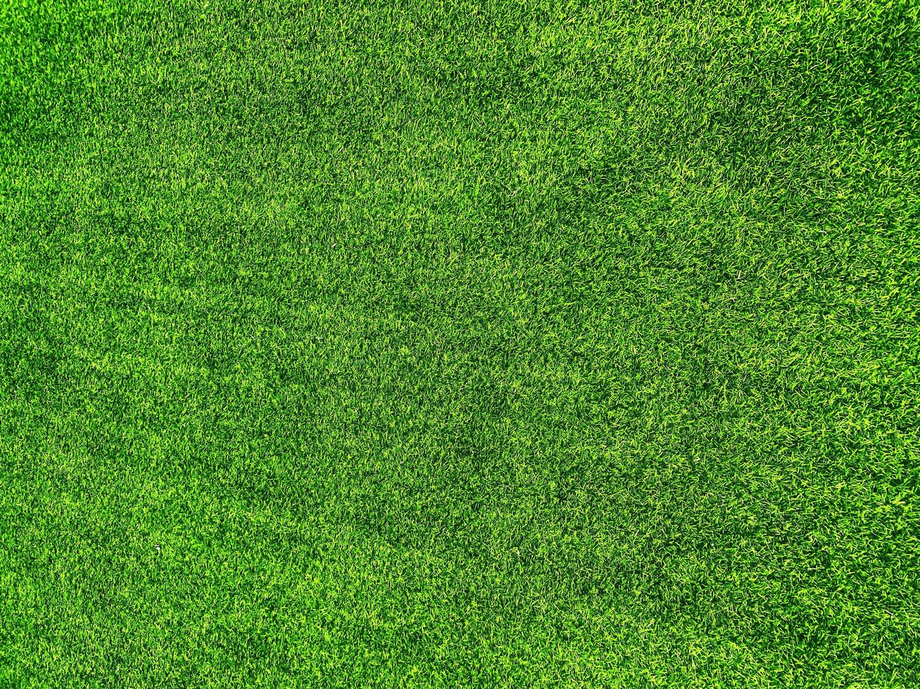 Green grass texture background grass garden  concept used for making green background football pitch, Grass Golf,  green lawn pattern textured background. photo