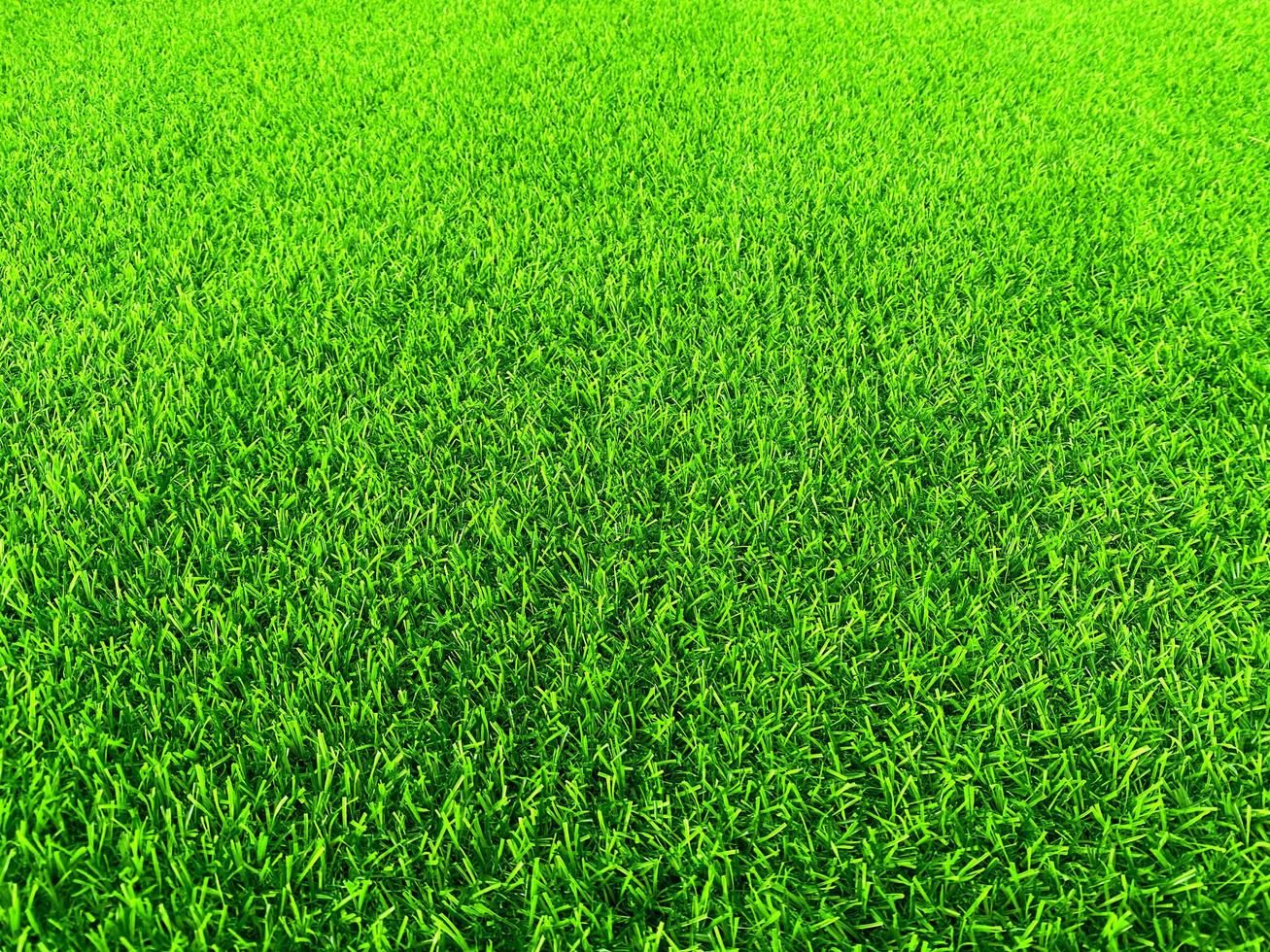 Green grass texture background grass garden concept used for making green background football pitch, Grass Golf, green lawn pattern textured background. photo