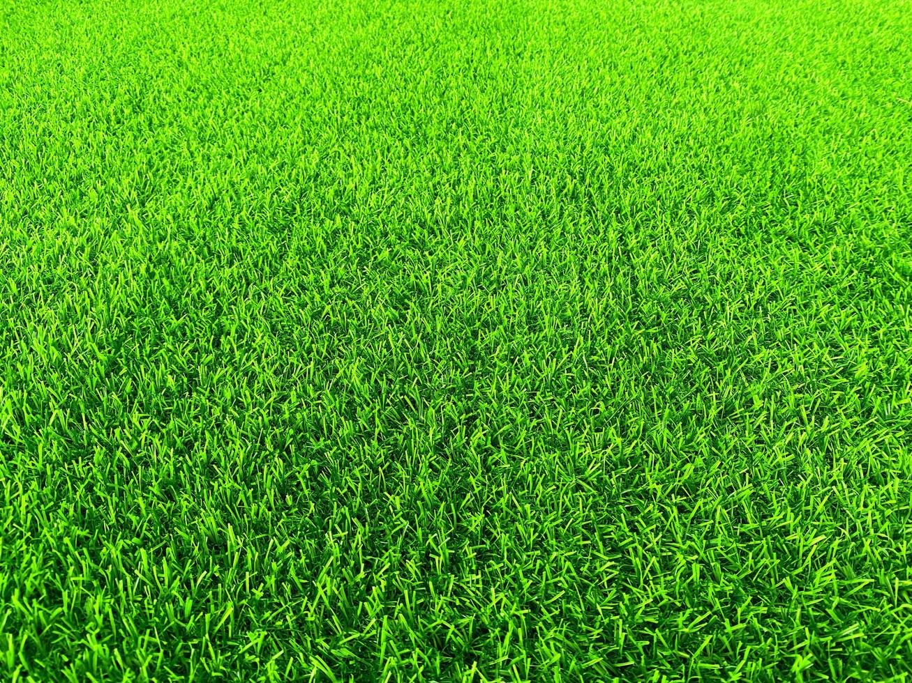 fondo de textura de hierba verde concepto de jardín de hierba utilizado para hacer campo de fútbol de fondo verde, golf de hierba, fondo de textura de patrón de césped verde. foto