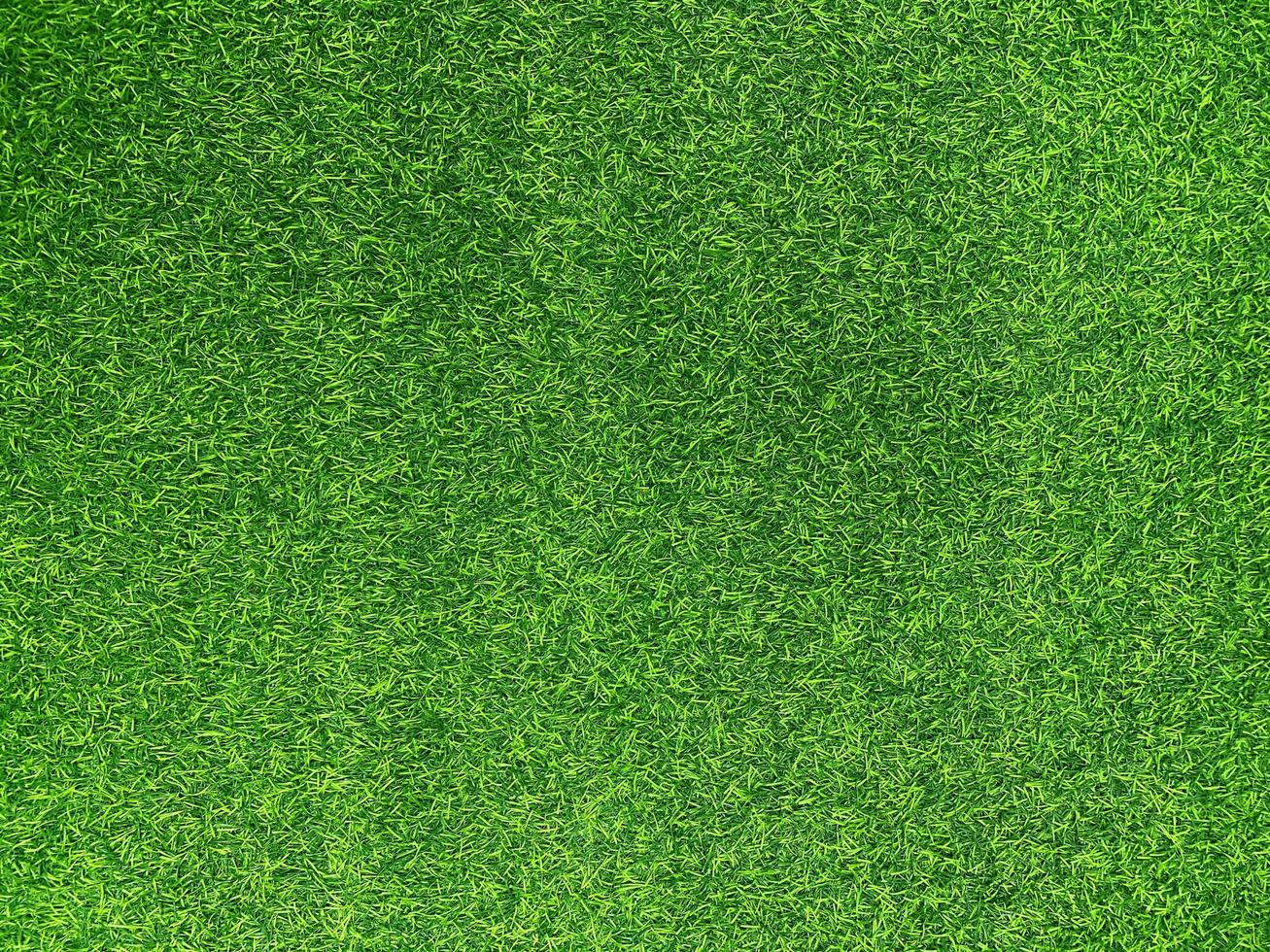 Green grass texture background grass garden  concept used for making green background football pitch, Grass Golf,  green lawn pattern textured background. photo