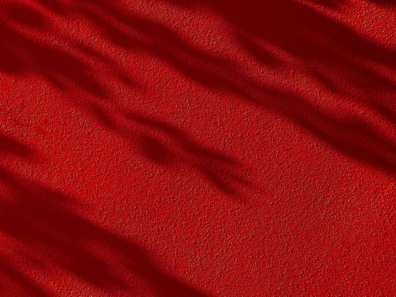 Abstract Shadow. blur background. gray leaves that reflect concrete walls on a red wall surface for blurred backgrounds photo