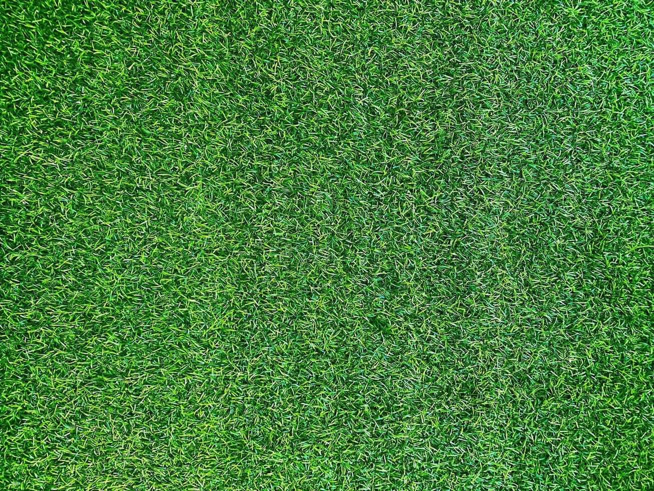 Green grass texture background grass garden  concept used for making green background football pitch, Grass Golf,  green lawn pattern textured background. photo