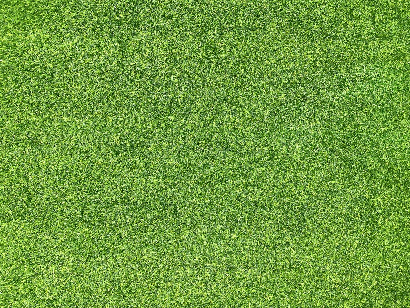 Green grass texture background grass garden  concept used for making green background football pitch, Grass Golf,  green lawn pattern textured background. photo