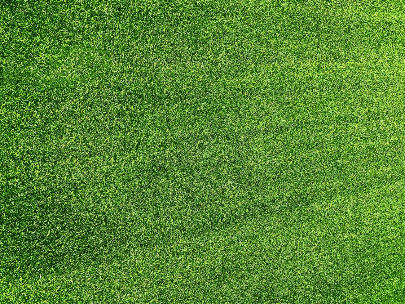 Green grass texture background grass garden  concept used for making green background football pitch, Grass Golf,  green lawn pattern textured background. photo