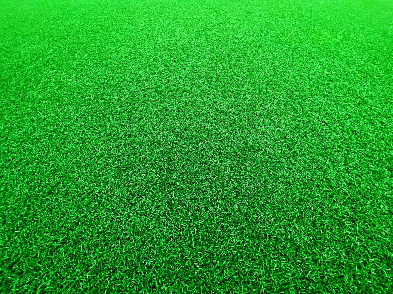 Green grass texture background grass garden concept used for making