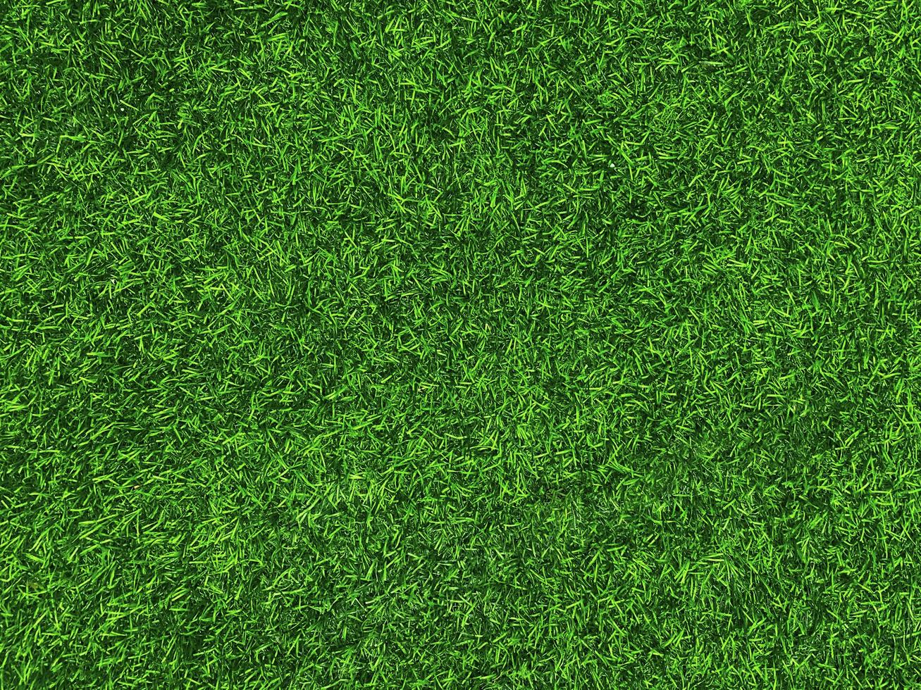 Green grass texture background grass garden  concept used for making green background football pitch, Grass Golf,  green lawn pattern textured background. photo