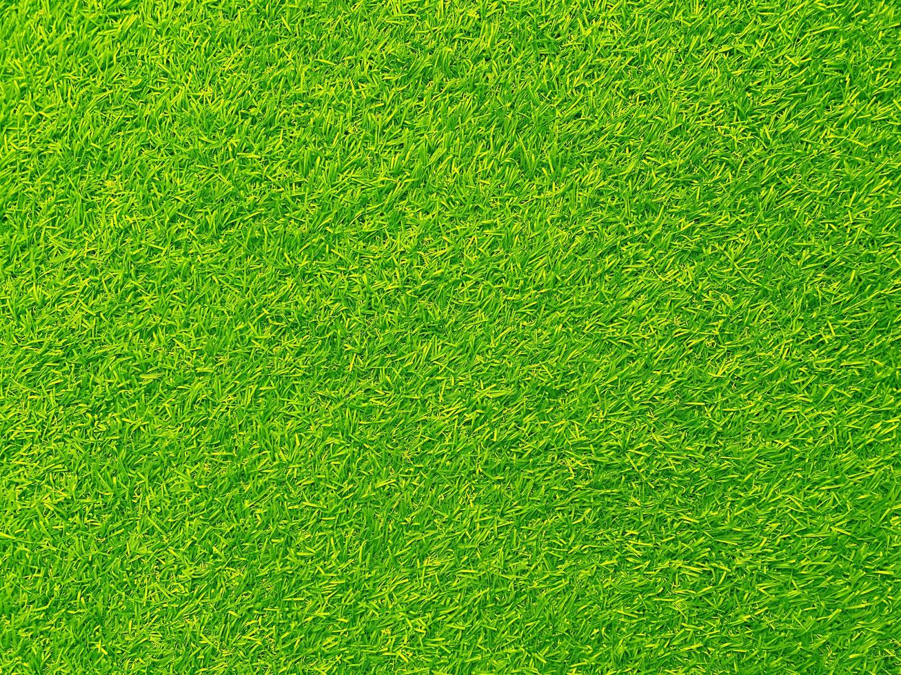 Green grass texture background grass garden concept used for making green background football pitch, Grass Golf, green lawn pattern textured background. photo
