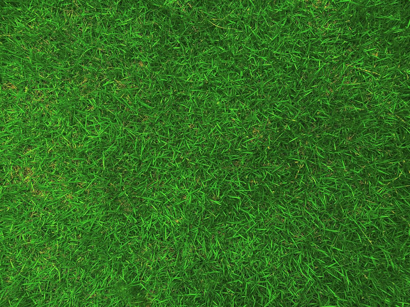 Green grass texture background grass garden  concept used for making green background football pitch, Grass Golf,  green lawn pattern textured background. photo