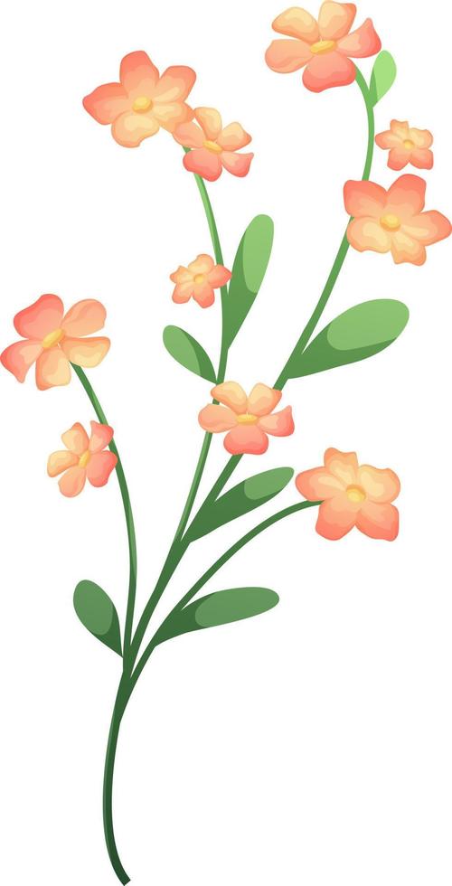 Cartoon branch of the plant with pink delicate flowers is isolated vector