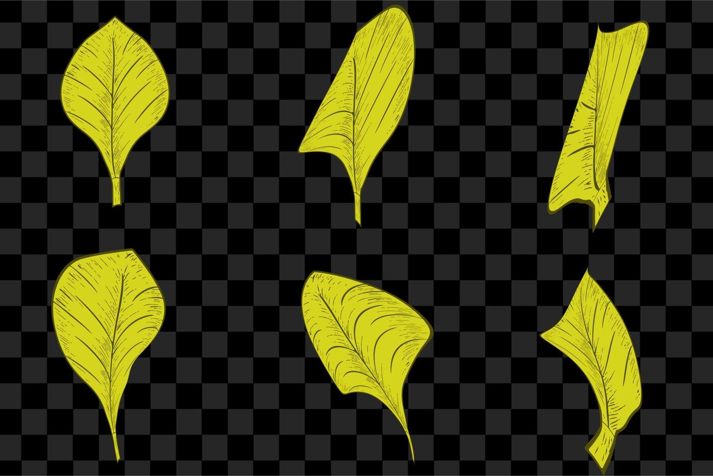 Vector set of the maple, oak, rowan and chokeberry yellow leaves isolated