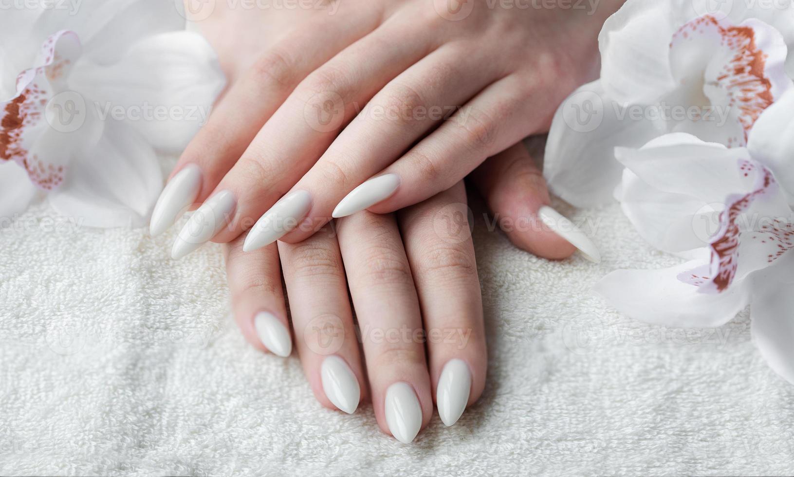 Hands of a young woman with white manicure on nails photo