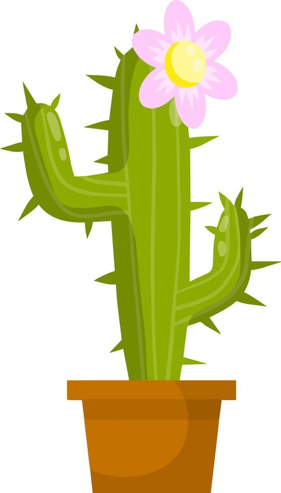 Cactus in pot. House plant. Green succulent. Flat cartoon illustration isolated vector
