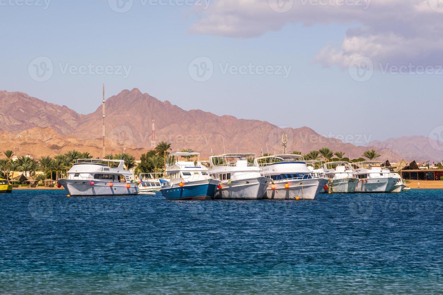 panoramic view of Red Sea with rows of rich yachts with mountains in background photo