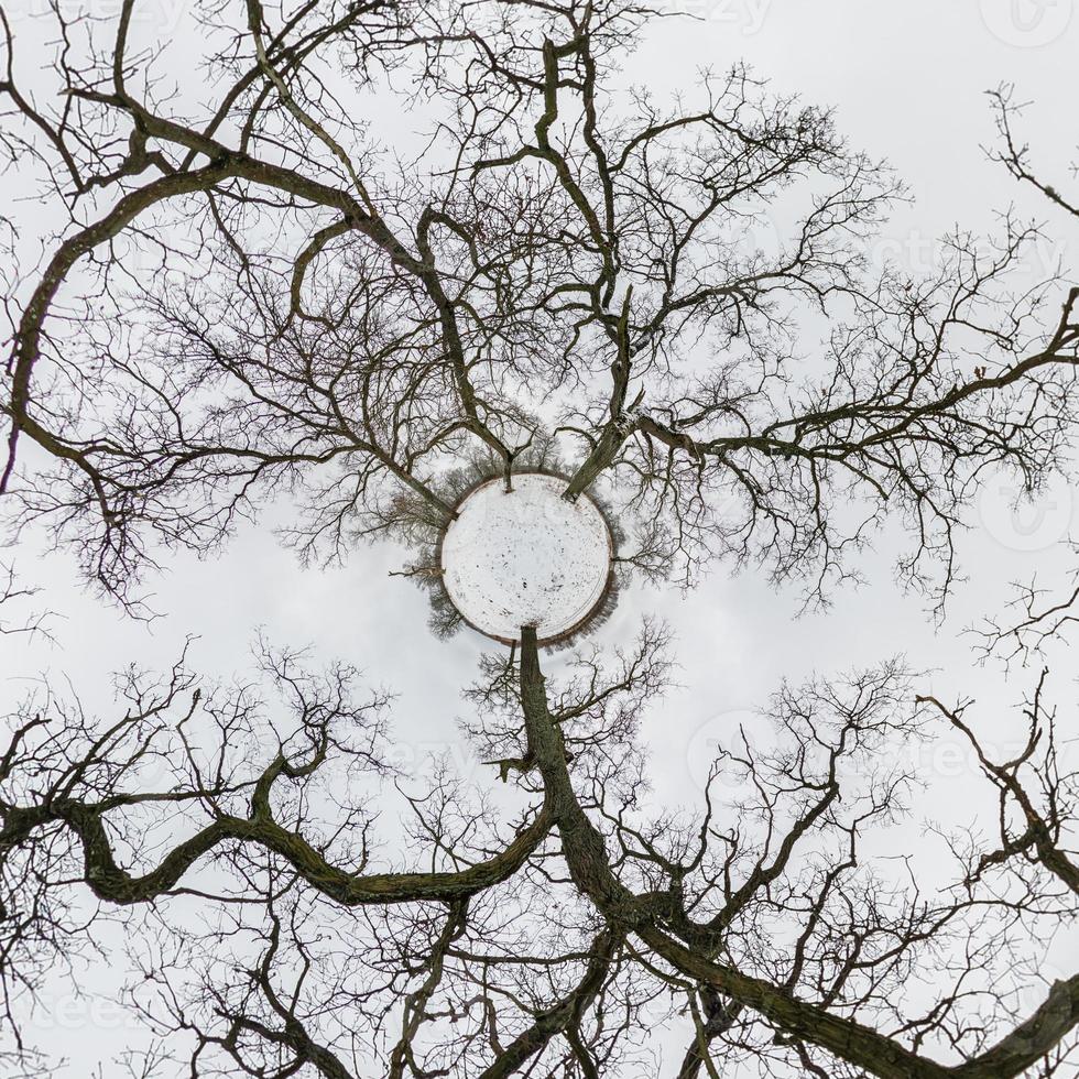 transformación de planeta diminuto de invierno de panorama esférico 360 grados. vista aérea abstracta esférica en un bosque de robles con ramas torpes. con nieve. curvatura del espacio. foto