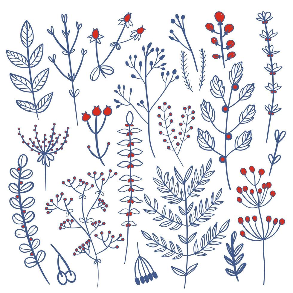 Wild flowers set. Floral herbal plants with blue blooms. vector