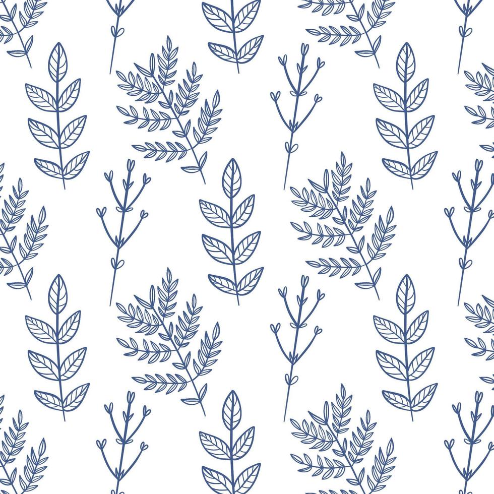 Floral herbal plants with blue flowers. vector