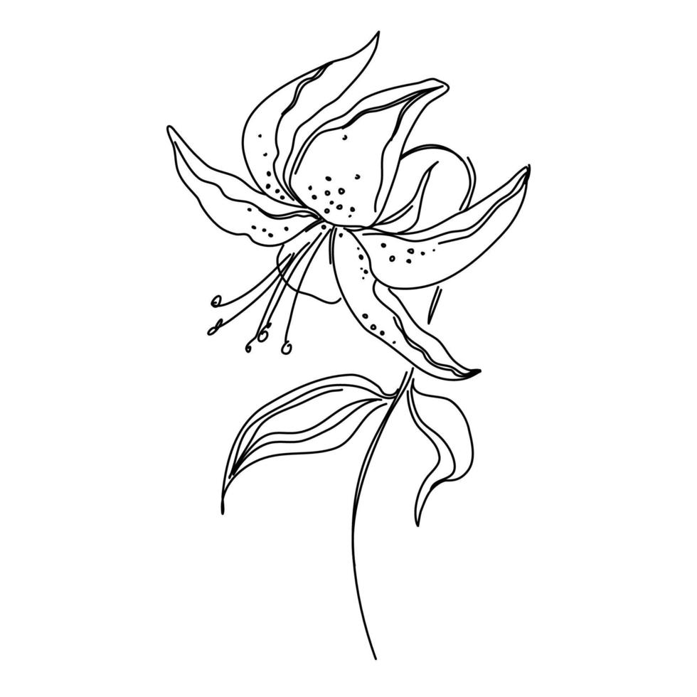 Flower One Line Drawing. Floral Minimalistic Style. Nature Symbol. Botanical Print. Continuous Line Art. Flowers Print. Minimalist Botanical Drawing. Vector EPS 10.