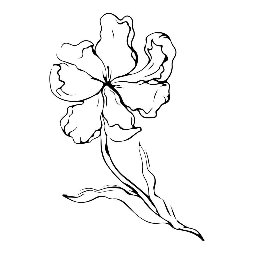 dibujo de una línea de flores. estilo minimalista floral. símbolo de la naturaleza. impresión botánica. arte de línea continua. estampado de flores. dibujo botánico minimalista. pasos vectoriales 10. vector