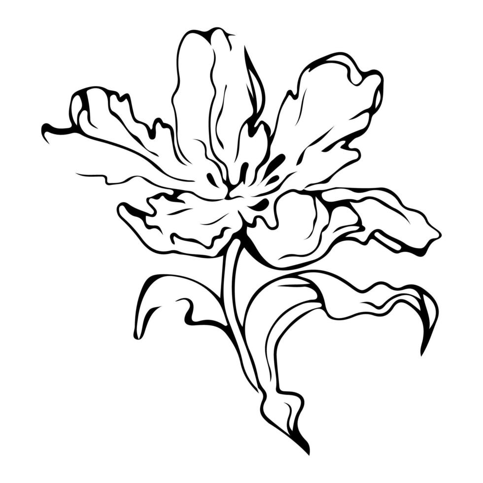 dibujo de una línea de flores. estilo minimalista floral. símbolo de la naturaleza. impresión botánica. arte de línea continua. estampado de flores. dibujo botánico minimalista. pasos vectoriales 10. vector