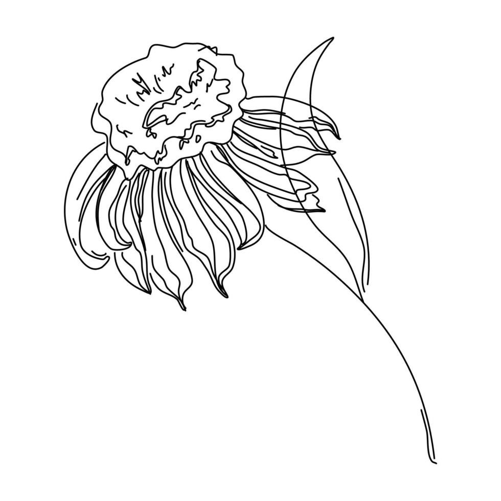 dibujo de una línea de flores. estilo minimalista floral. símbolo de la naturaleza. impresión botánica. arte de línea continua. estampado de flores. dibujo botánico minimalista. pasos vectoriales 10. vector