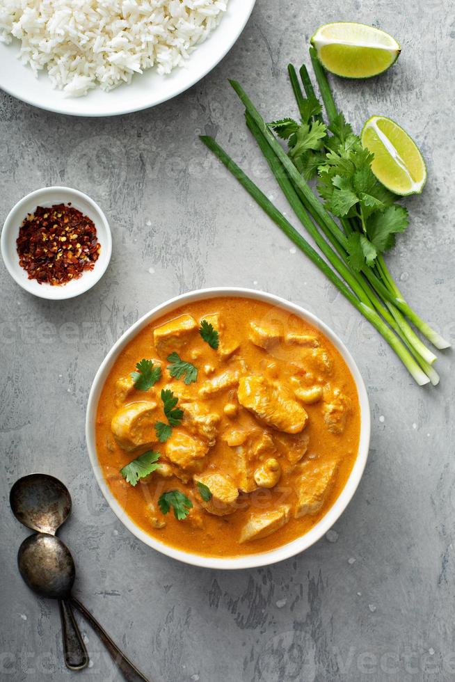 Chicken and cashew red curry photo