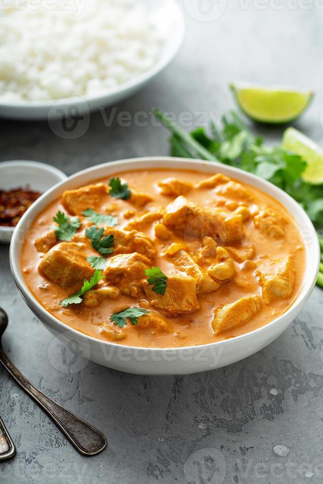 Chicken and cashew red curry photo