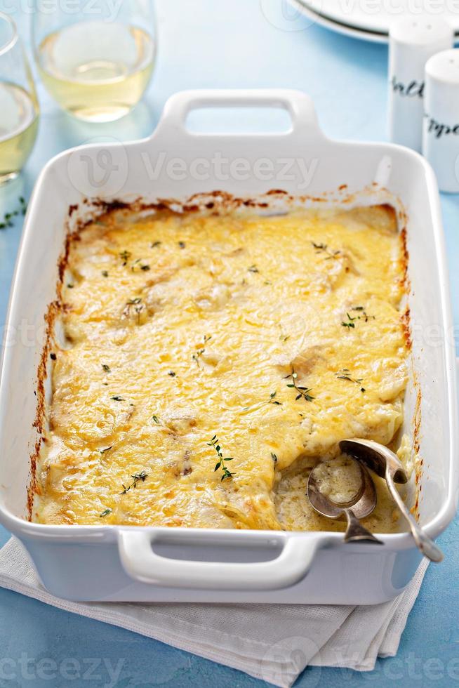 Cheese and potato gratin photo