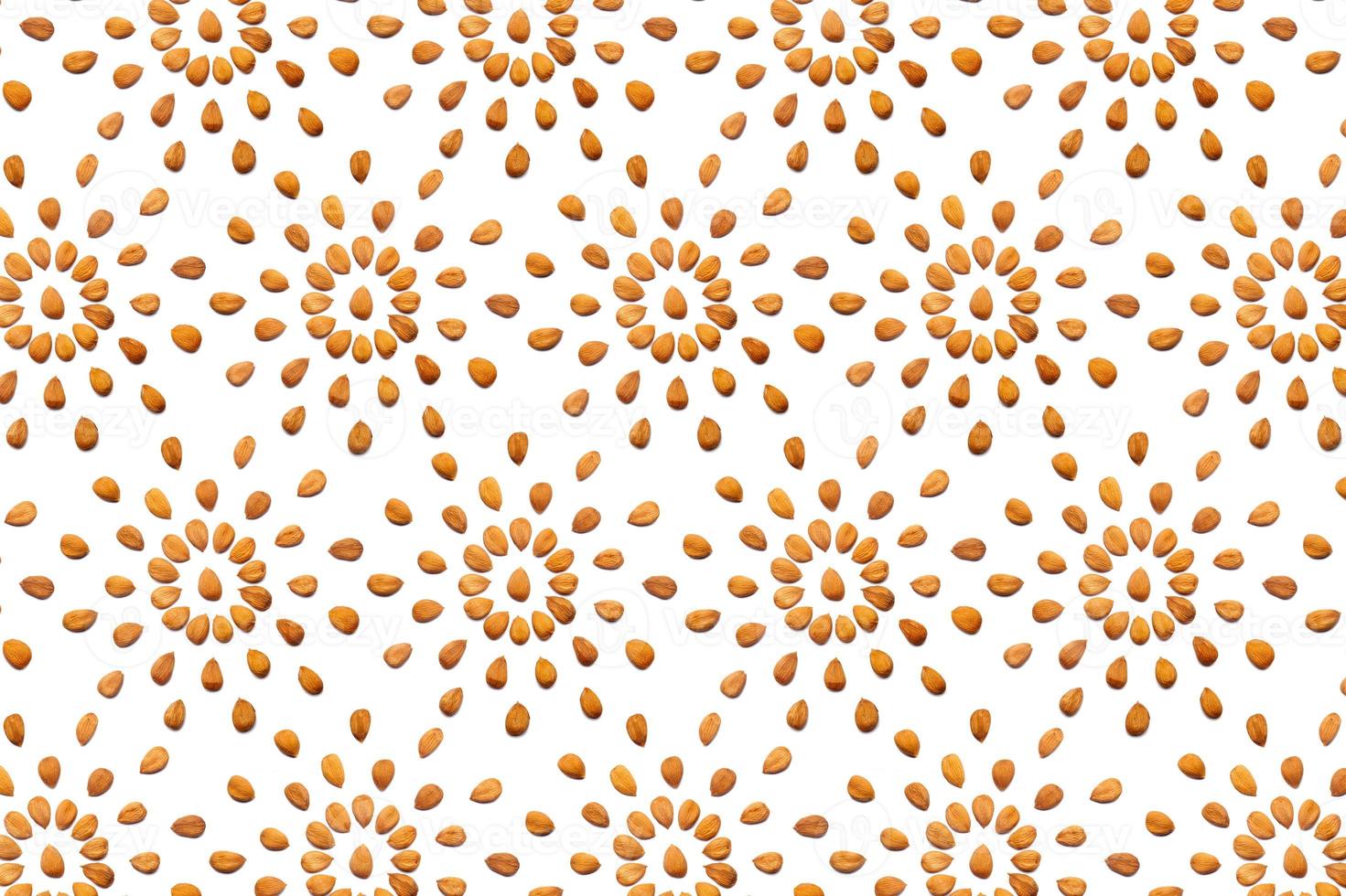 A collection of peeled apricot stone nuts lies in the shape of a circle or sun on an isolated white background with a clipping path. Peeled apricot stone   Pattern photo