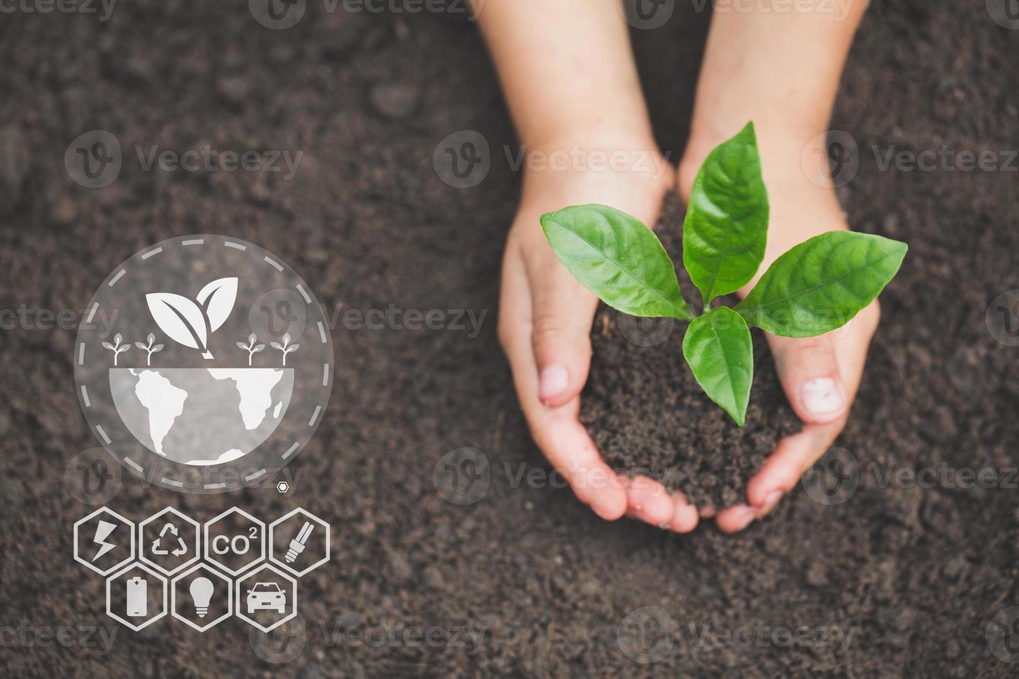 mano sosteniendo plántulas con iconos ambientales a través de la conexión de red en el fondo de la naturaleza, concepto de ecología tecnológica. foto