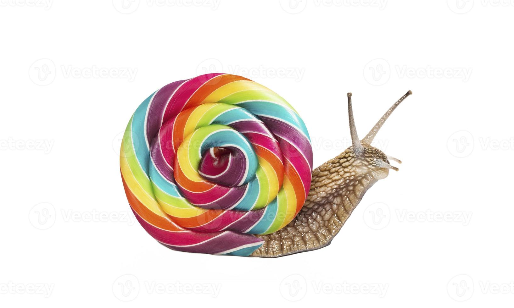 Lollipop and Snail advertising image photo
