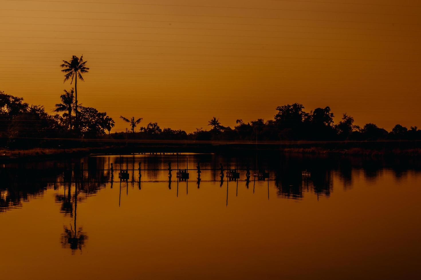 silhouette coconut water reflection golden light effects white balance low shutter speed dark art style photo