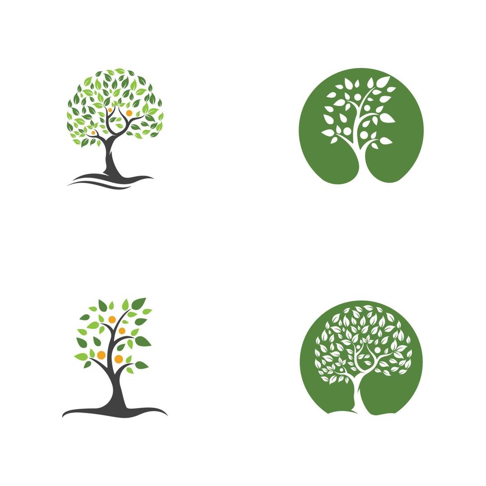 family tree logo template vector