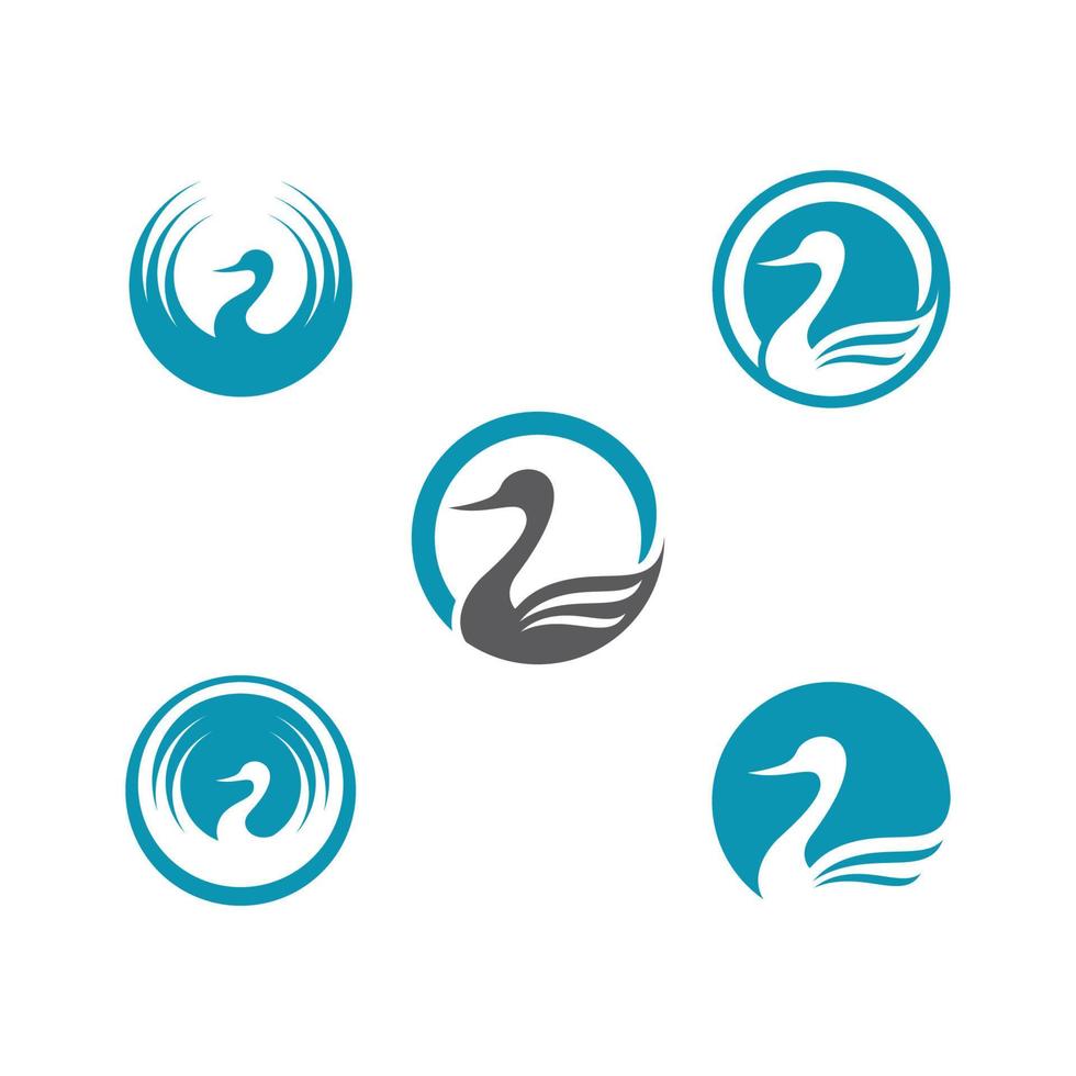 Swan icon Template vector