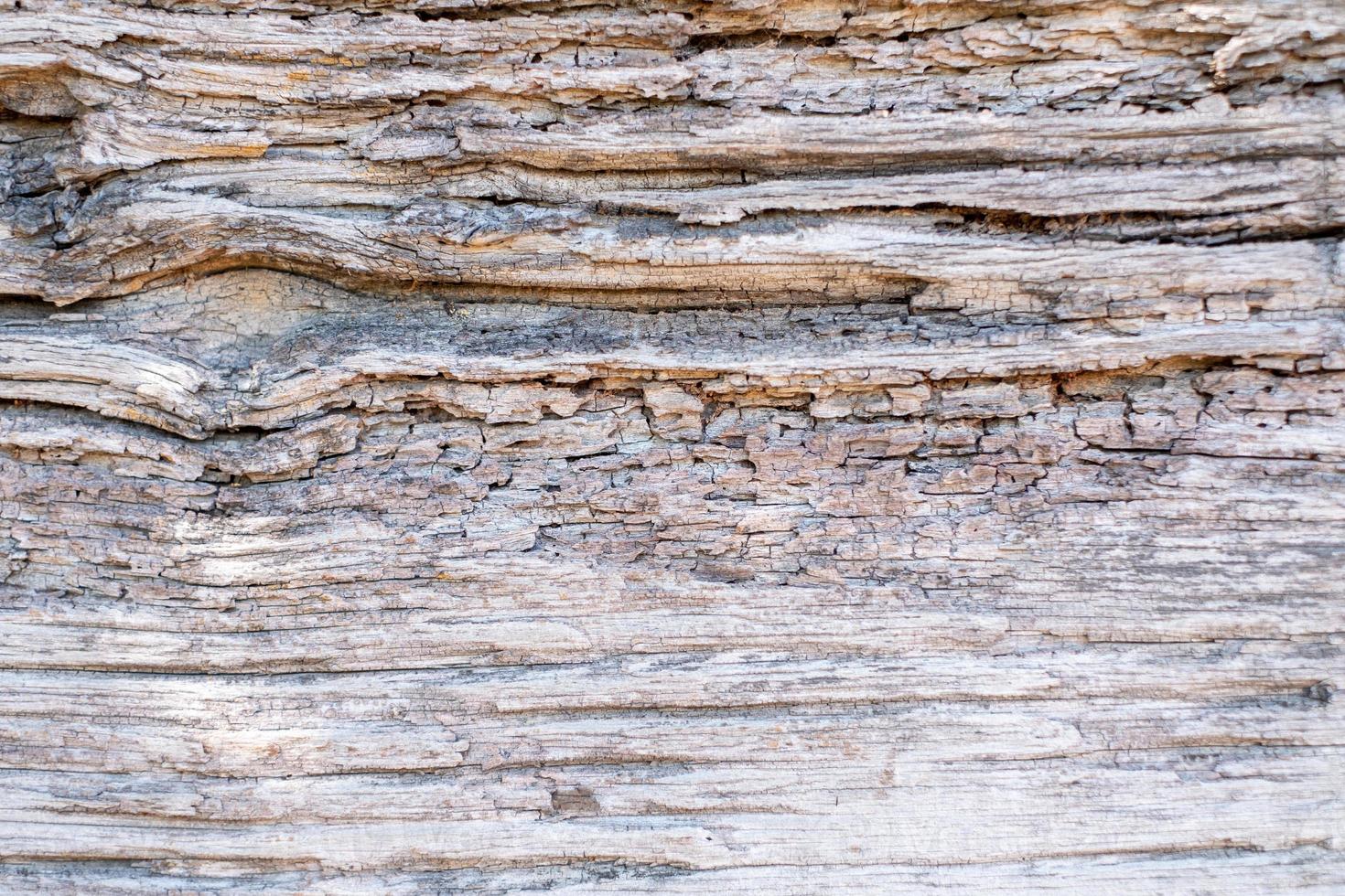 Fondo de textura de madera de frente antiguo procedente de árbol natural. el panel de madera tiene un hermoso patrón oscuro, textura de piso de madera dura. foto