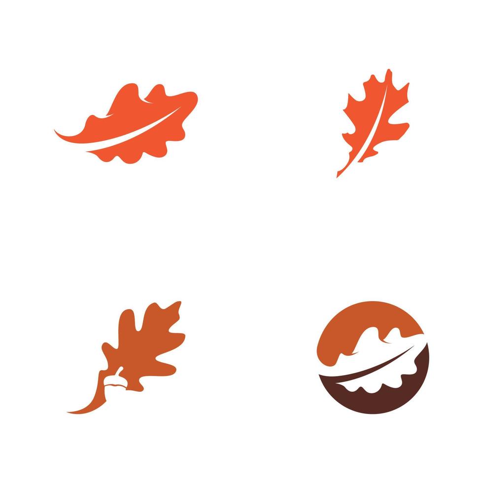 Maple leaf vector illustration