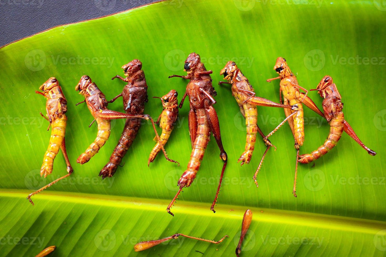 saltamontes fritos o belalang goreng es comida tradicional del sudeste asiático, servida con sambal, cebolla, ajo, chile sobre fondo de madera foto